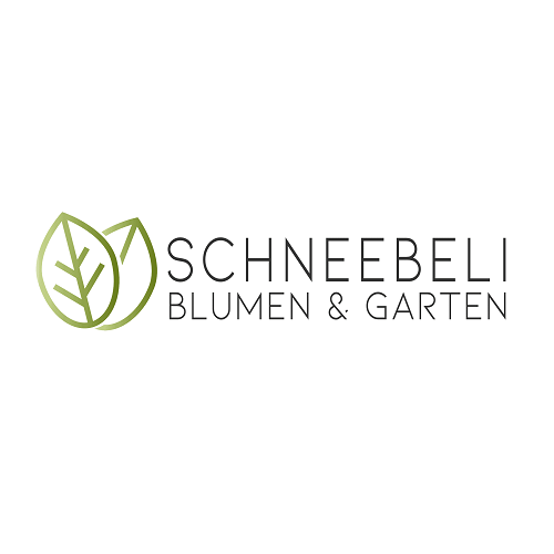 Blumen Schneebeli